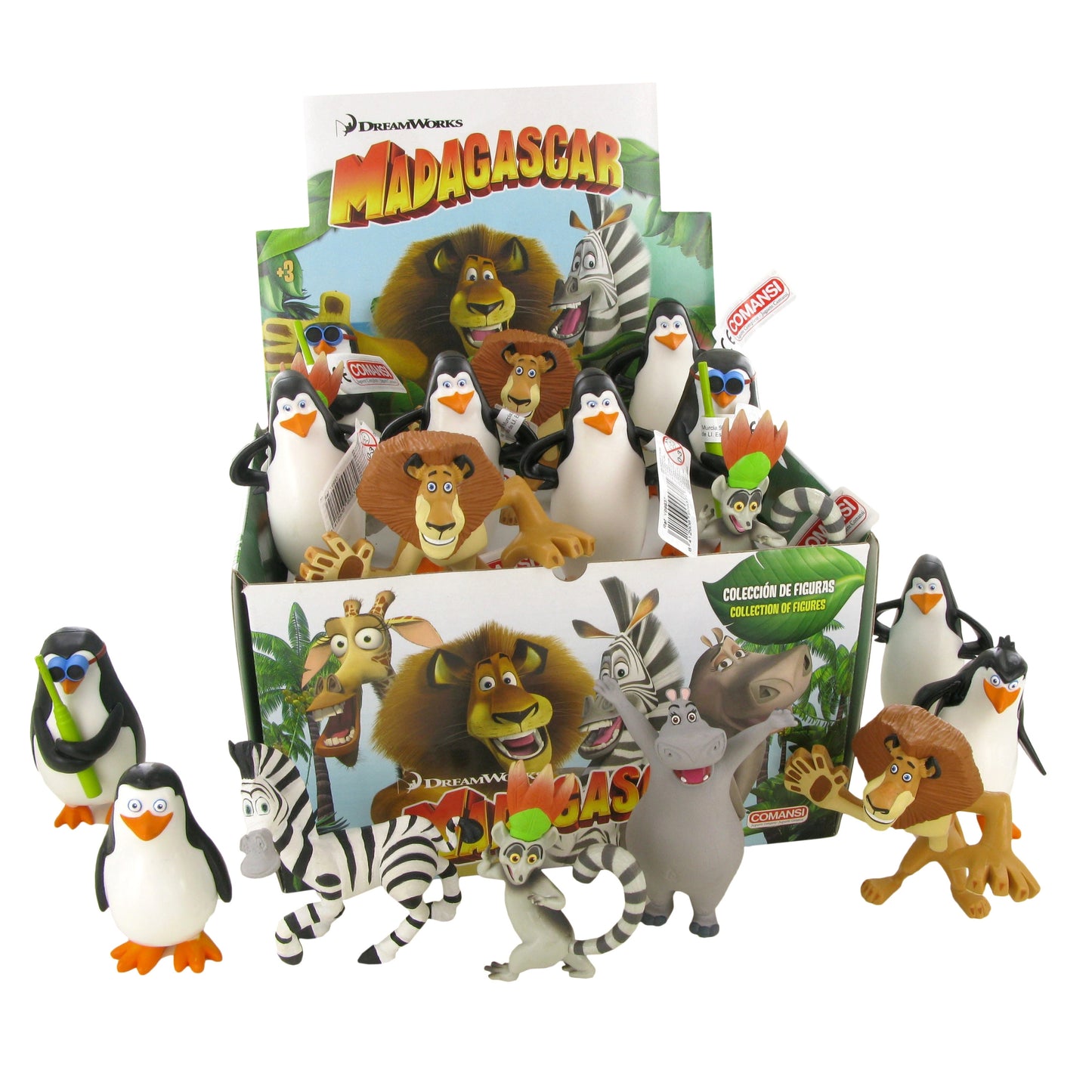MADAGASCAR DISPLAY 24 ST